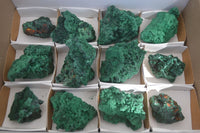 Natural Chatoyant Silky Malachite Specimens  x 12 From Congo - Toprock Gemstones and Minerals 