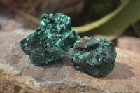 Natural Chatoyant Silky Malachite Specimens  x 12 From Congo - Toprock Gemstones and Minerals 