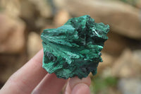 Natural Chatoyant Silky Malachite Specimens  x 12 From Congo - Toprock Gemstones and Minerals 