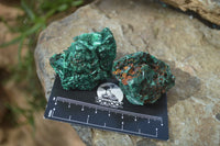 Natural Chatoyant Silky Malachite Specimens  x 12 From Congo - Toprock Gemstones and Minerals 