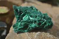 Natural Chatoyant Silky Malachite Specimens  x 12 From Congo - Toprock Gemstones and Minerals 