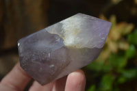 Polished Window Amethyst Crystals x 6 From Madagascar - Toprock Gemstones and Minerals 
