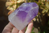 Polished Window Amethyst Crystals x 6 From Madagascar - Toprock Gemstones and Minerals 
