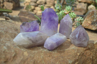 Polished Window Amethyst Crystals x 6 From Madagascar - Toprock Gemstones and Minerals 