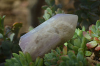 Polished Window Amethyst Crystals x 6 From Madagascar - Toprock Gemstones and Minerals 