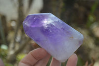 Polished Window Amethyst Crystals x 6 From Madagascar - Toprock Gemstones and Minerals 