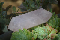 Polished Double Terminated Rose Quartz Points  x 6 From Madagascar - Toprock Gemstones and Minerals 