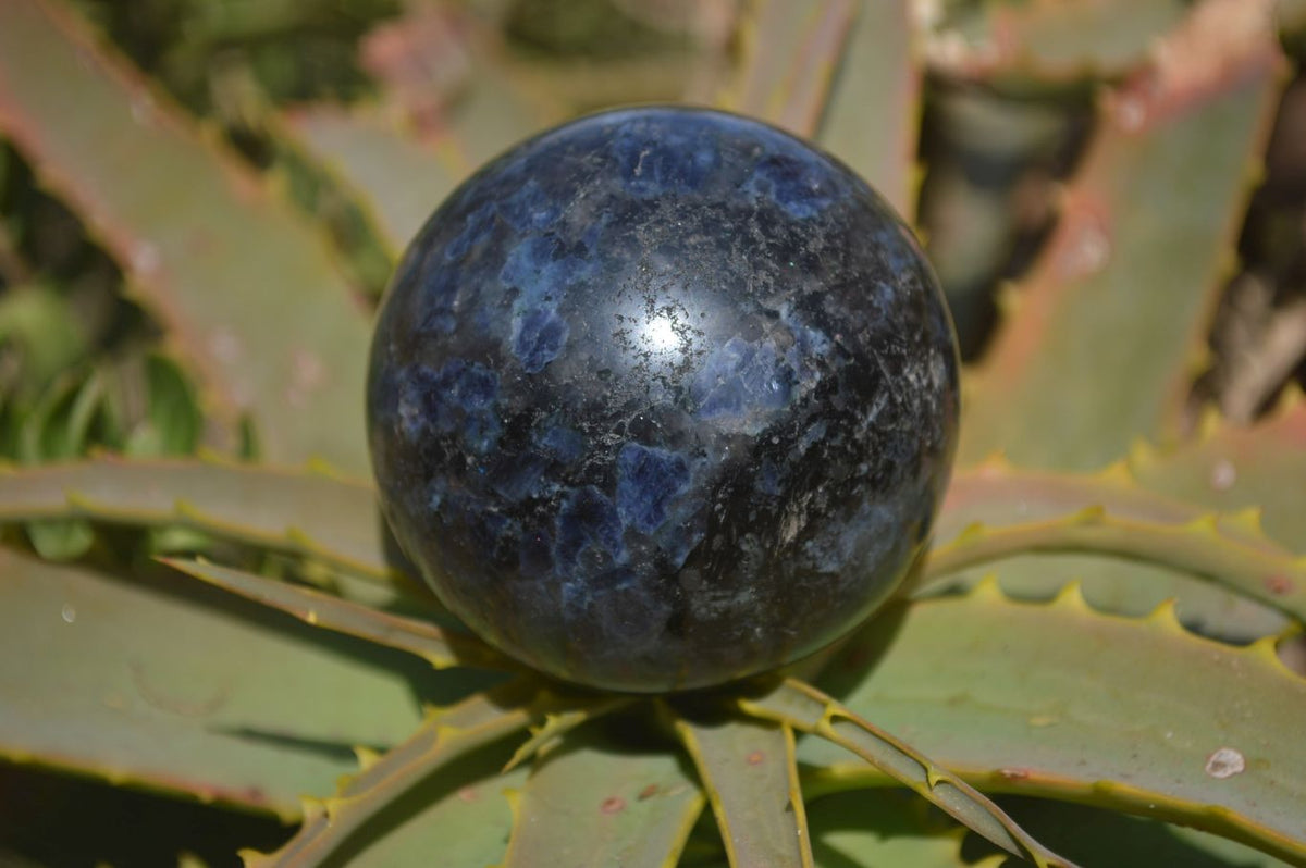 Polished Rare Iolite Spheres x 4 From Ambatofinandrahana, Madagascar - Toprock Gemstones and Minerals 