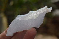 Natural Etched Blue Chalcedony Specimens  x 12 From Malawi - Toprock Gemstones and Minerals 