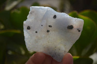 Natural Etched Blue Chalcedony Specimens  x 12 From Malawi - Toprock Gemstones and Minerals 