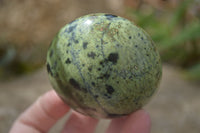 Polished Leopard Stone Galets  x 6 From Zimbabwe - Toprock Gemstones and Minerals 
