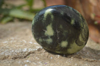 Polished Leopard Stone Galets  x 6 From Zimbabwe - Toprock Gemstones and Minerals 