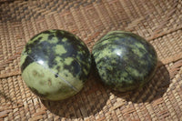 Polished Leopard Stone Galets  x 6 From Zimbabwe - Toprock Gemstones and Minerals 