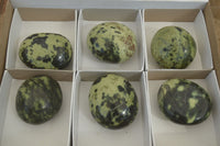 Polished Leopard Stone Galets  x 6 From Zimbabwe - Toprock Gemstones and Minerals 