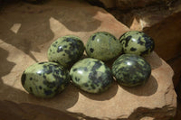 Polished Leopard Stone Galets  x 6 From Zimbabwe - Toprock Gemstones and Minerals 