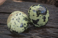 Polished Leopard Stone Galets  x 6 From Zimbabwe - Toprock Gemstones and Minerals 