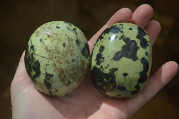 Polished Leopard Stone Galets  x 6 From Zimbabwe - Toprock Gemstones and Minerals 