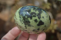 Polished Leopard Stone Galets  x 6 From Zimbabwe - Toprock Gemstones and Minerals 