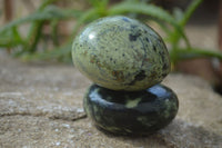 Polished Leopard Stone Galets  x 6 From Zimbabwe - Toprock Gemstones and Minerals 