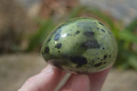 Polished Leopard Stone Galets  x 6 From Zimbabwe - Toprock Gemstones and Minerals 