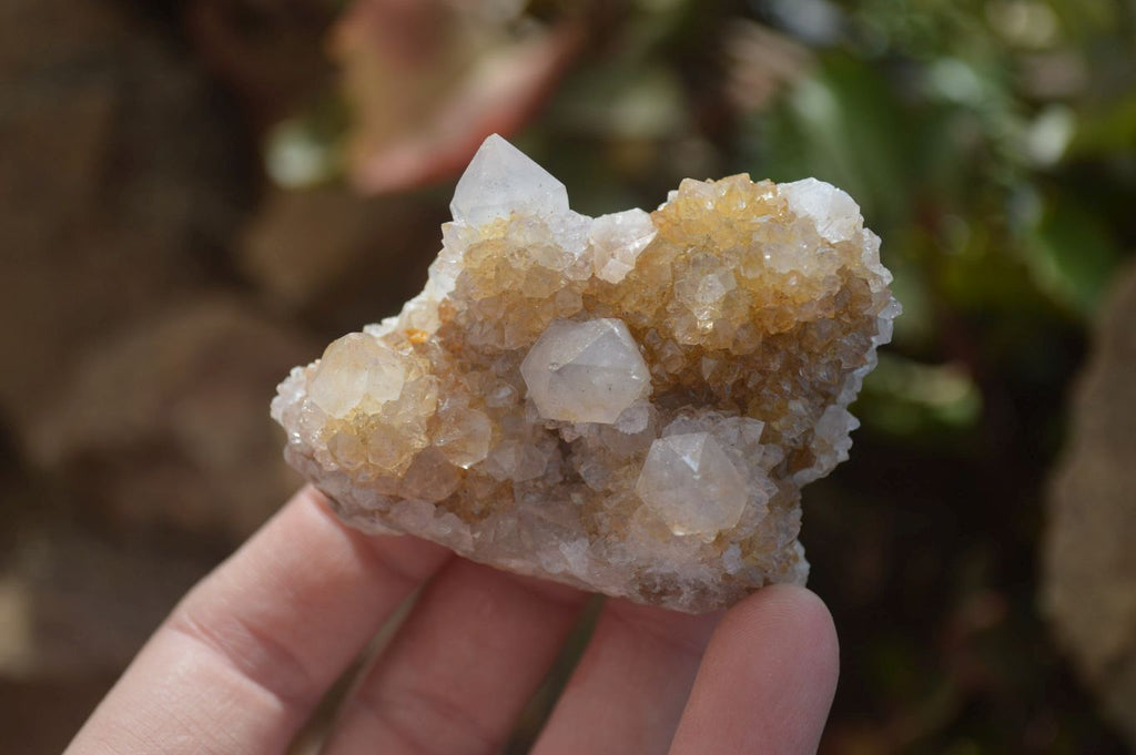 Natural Mixed Spirit Quartz Specimens  x 12 From South Africa - Toprock Gemstones and Minerals 