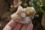 Natural Mixed Spirit Quartz Specimens  x 12 From South Africa - Toprock Gemstones and Minerals 