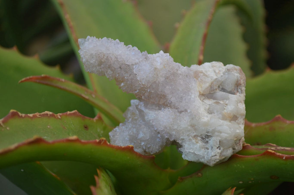 Natural Mixed Spirit Quartz Specimens  x 12 From South Africa - Toprock Gemstones and Minerals 