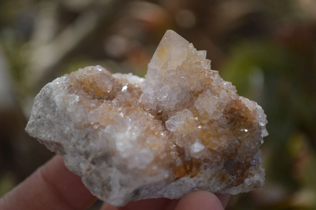 Natural Mixed Spirit Quartz Specimens  x 12 From South Africa - Toprock Gemstones and Minerals 