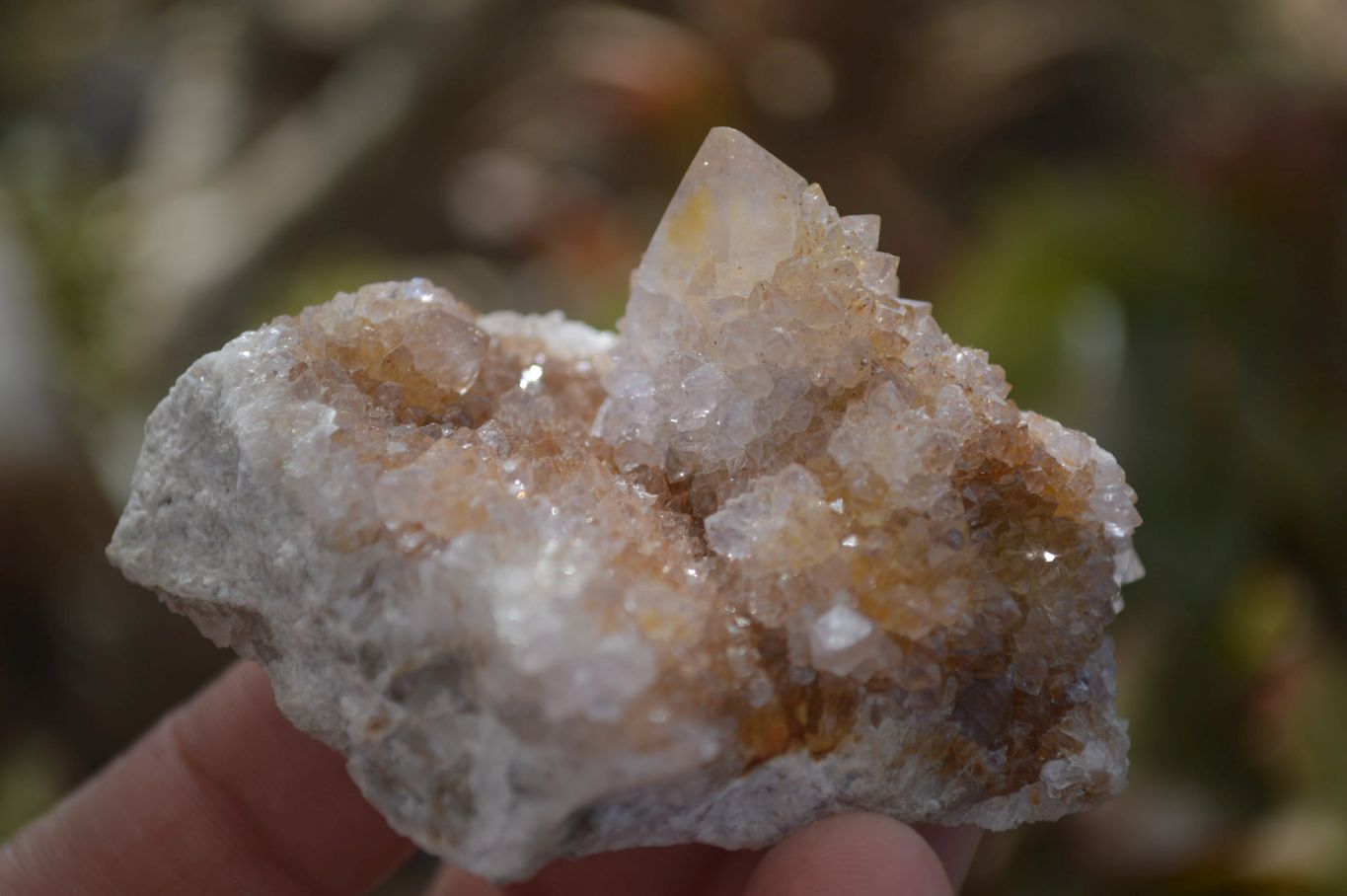Natural Mixed Spirit Quartz Specimens  x 12 From South Africa - Toprock Gemstones and Minerals 