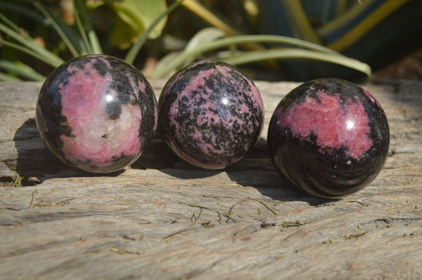 Polished Rhodonite Spheres  x 4 From Madagascar - Toprock Gemstones and Minerals 