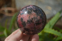 Polished Rhodonite Spheres  x 4 From Madagascar - Toprock Gemstones and Minerals 