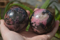 Polished Rhodonite Spheres  x 4 From Madagascar - Toprock Gemstones and Minerals 