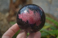 Polished Rhodonite Spheres  x 4 From Madagascar - Toprock Gemstones and Minerals 