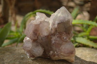 Natural Red Hematite Quartz Specimens  x 2 From Zimbabwe - Toprock Gemstones and Minerals 