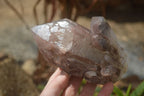 Natural Red Hematite Quartz Specimens  x 2 From Zimbabwe - Toprock Gemstones and Minerals 