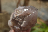 Natural Red Hematite Quartz Specimens  x 2 From Zimbabwe - Toprock Gemstones and Minerals 