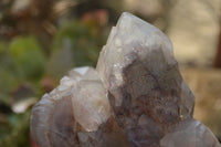 Natural Red Hematite Quartz Specimens  x 2 From Zimbabwe - Toprock Gemstones and Minerals 