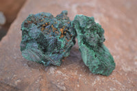 Natural Chatoyant Silky Malachite Specimens  x 20 From Congo - Toprock Gemstones and Minerals 