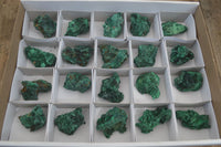 Natural Chatoyant Silky Malachite Specimens  x 20 From Congo - Toprock Gemstones and Minerals 