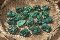 Natural Chatoyant Silky Malachite Specimens  x 20 From Congo - Toprock Gemstones and Minerals 