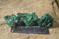 Natural Chatoyant Silky Malachite Specimens  x 20 From Congo - Toprock Gemstones and Minerals 