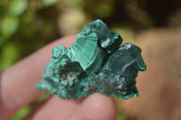 Natural Chatoyant Silky Malachite Specimens  x 20 From Congo - Toprock Gemstones and Minerals 
