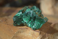 Natural Chatoyant Silky Malachite Specimens  x 20 From Congo - Toprock Gemstones and Minerals 