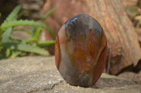 Polished Polychrome Jasper Standing Free Forms  x 4 From Madagascar - Toprock Gemstones and Minerals 