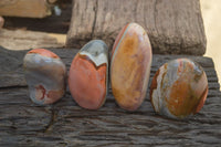Polished Polychrome Jasper Standing Free Forms  x 4 From Madagascar - Toprock Gemstones and Minerals 