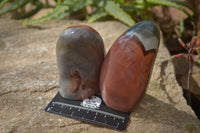 Polished Polychrome Jasper Standing Free Forms  x 4 From Madagascar - Toprock Gemstones and Minerals 