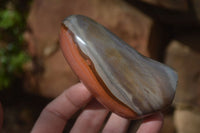 Polished Polychrome Jasper Standing Free Forms  x 4 From Madagascar - Toprock Gemstones and Minerals 
