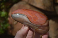 Polished Polychrome Jasper Standing Free Forms  x 4 From Madagascar - Toprock Gemstones and Minerals 