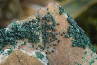 Natural Rare Ball Malachite On Drusy Quartz Dolomite Specimens x 2 From Congo - Toprock Gemstones and Minerals 