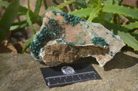 Natural Rare Ball Malachite On Drusy Quartz Dolomite Specimens x 2 From Congo - Toprock Gemstones and Minerals 